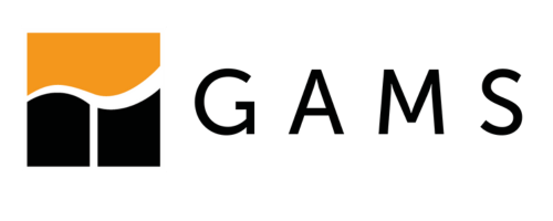 GAMS Language