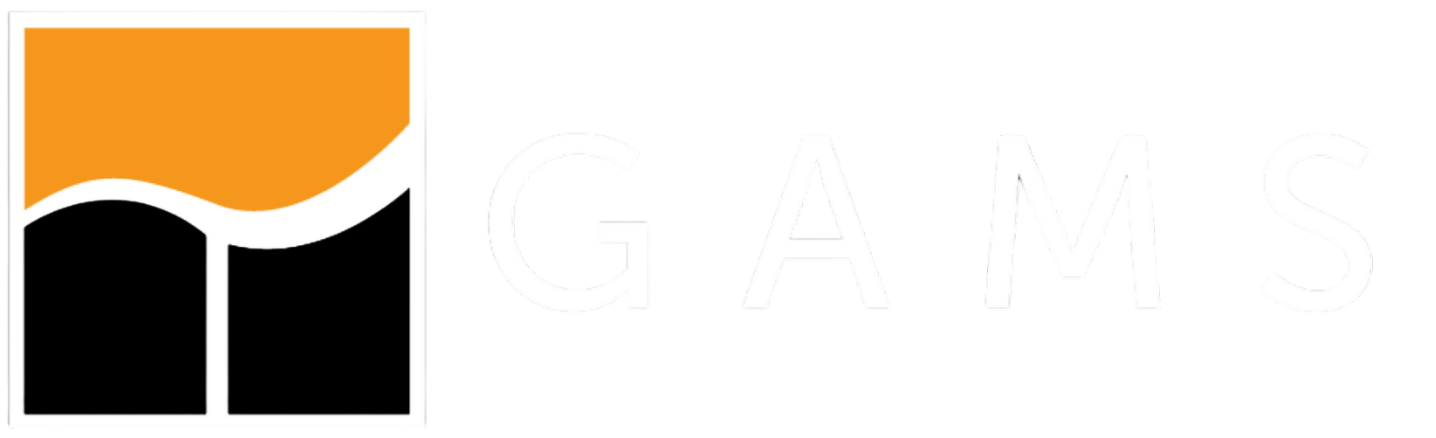GAMS - Cutting Edge Modeling